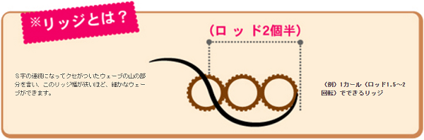 リッジとは？