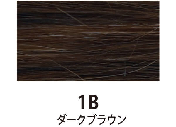 レイナカンパニー ヒューマンヘアシールエクステ ダークカラー 10シート(20本分) ダークブラウン 1B 45cm