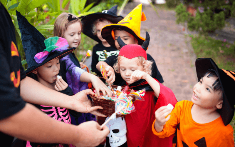 年々盛り上がりを見せるハロウィン！一体どんなイベントなの？